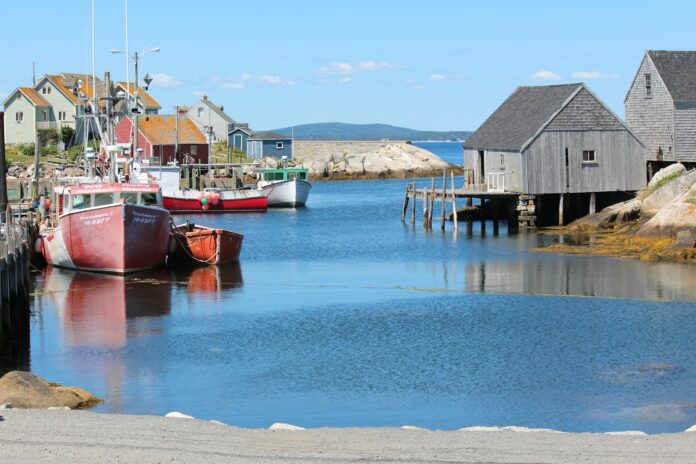 boats docked at a pier