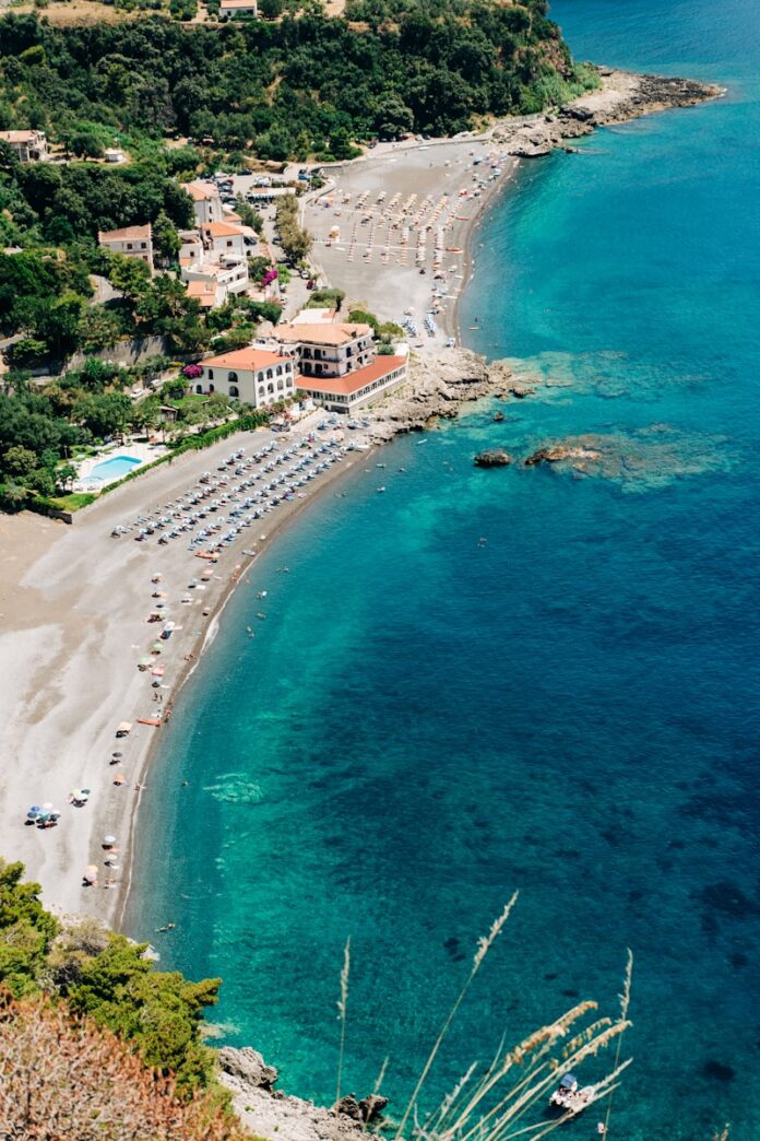 aerial view of people on beach during daytime