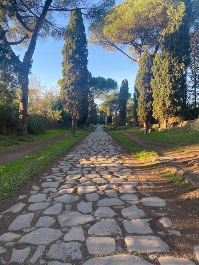 a cobblestone road in the middle of a park