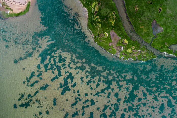 aerial view of grass field beside body of water