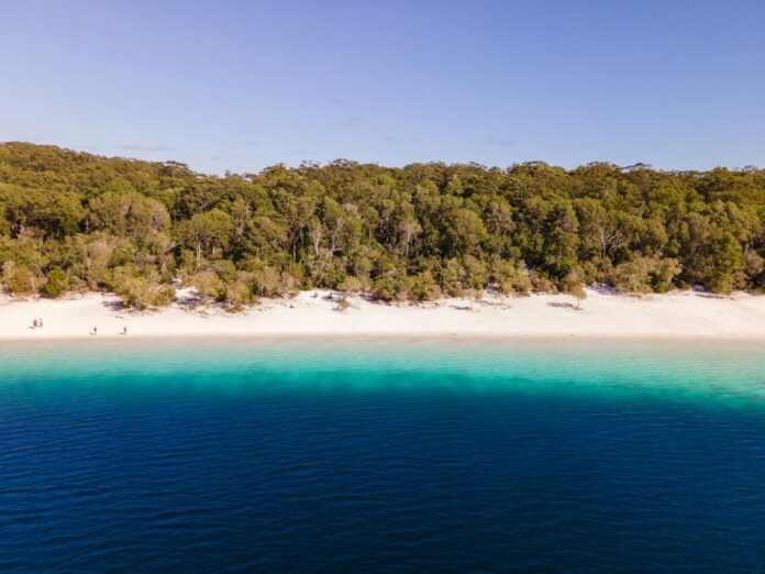 an aerial view of a sandy beach with trees in the background